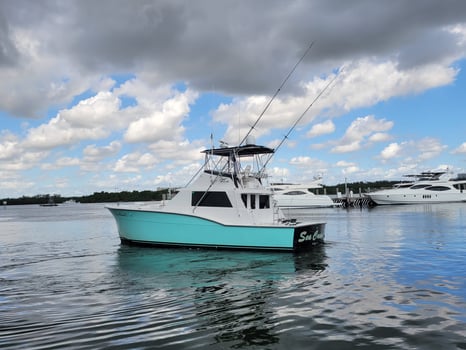 Boat photo for Offshore Deep Sea Fishing