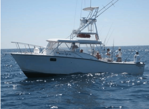 Boat photo for Clearwater Fishing Thriller!