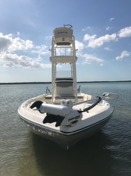 Boat photo for Offshore/ Nearshore Fishing