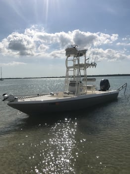 Boat photo for Offshore/ Nearshore Fishing