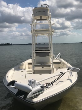 Boat photo for Offshore/ Nearshore Fishing