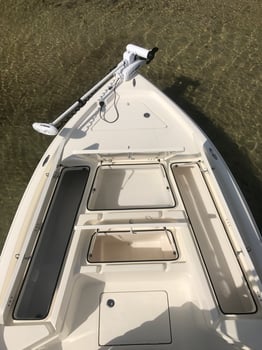 Boat photo for Offshore/ Nearshore Fishing