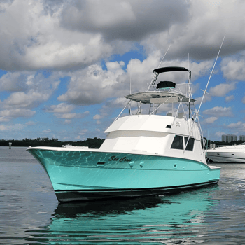 Boat photo for VIP Luxury - Offshore Deep Sea