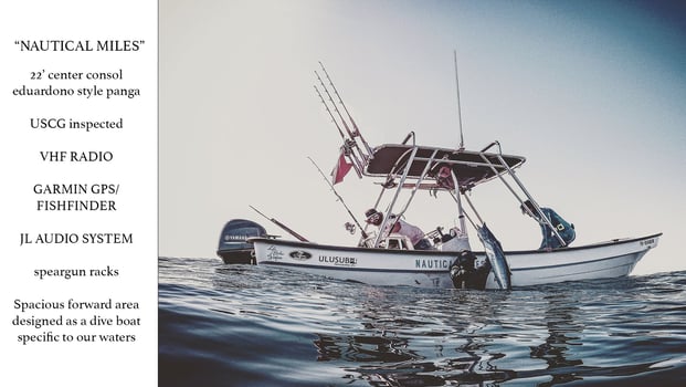 Boat photo for Reef Spearfishing