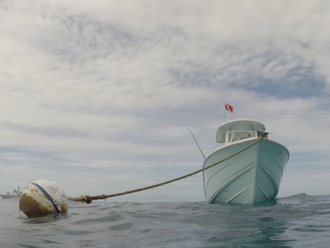 Boat photo for Lobstering & Reef Snorkeling Combo
