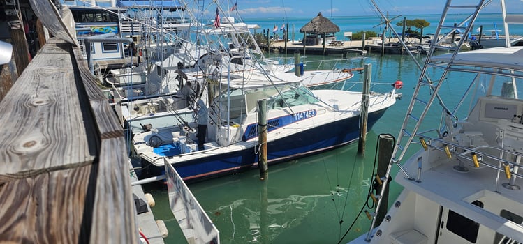 Boat photo for 3/4 Day Trip Islamorada