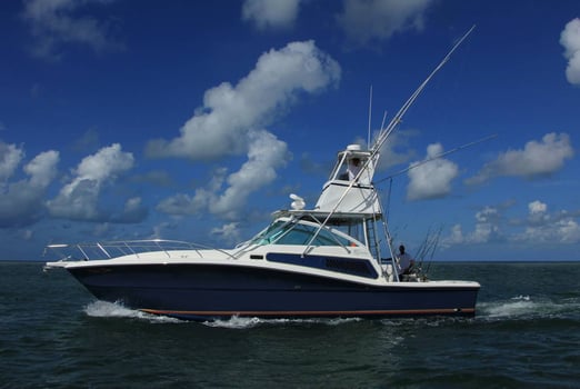 Boat photo for 3/4 Day Trip Islamorada