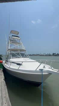 Boat photo for Bottom Fishing And Jigging