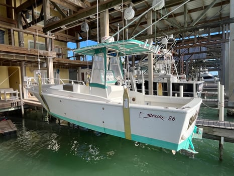 Boat photo for Play Tug War With Big Fish