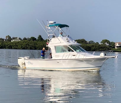 Boat photo for Half Day Trip (4hrs)