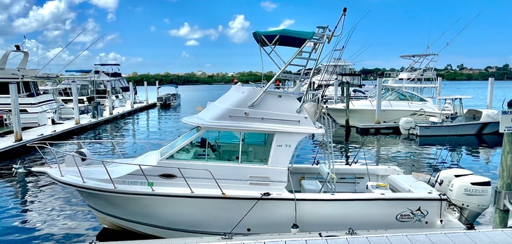 Boat photo for Half Day Trip (4hrs)