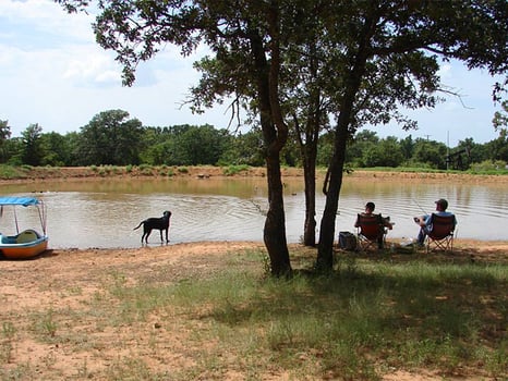 Lodge photo for Hog Hunt Fun - W/ Lodging