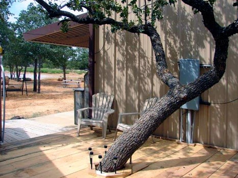 Lodge photo for Hog Hunt Fun - W/ Lodging