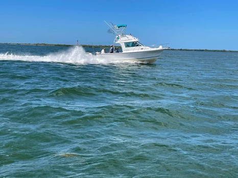 Boat photo for 6hr Coral Bottom Trip