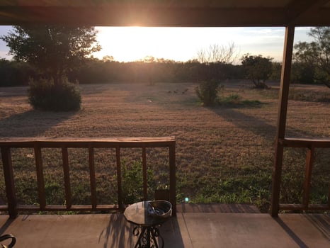 Lodge photo for West Texas Hog Hunts With Lodging!