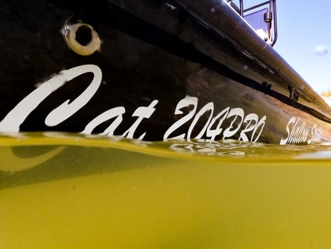 Boat photo for Corpus Christi Ducks