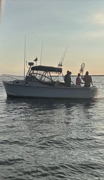 Boat photo for 3 Hour Inshore Special
