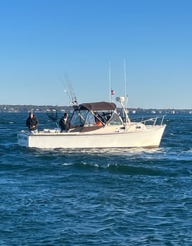 Boat photo for 3 Hour Inshore Special