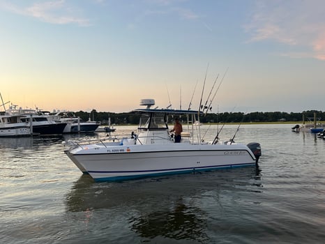 Boat photo for 3 Hour Beginner Shark Fishing