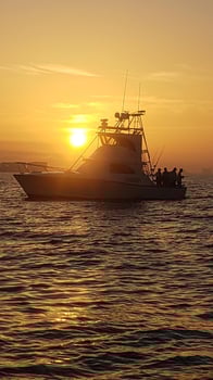 Boat photo for Almost All Day Fishing