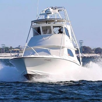 Boat photo for Almost All Day Fishing