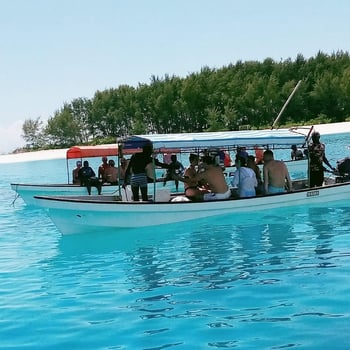 Boat photo for Half Day Tanzania