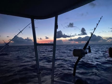 Boat photo for Classic 8 Hour Offshore