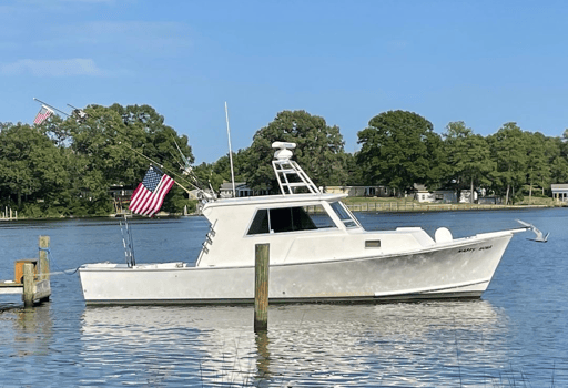 Boat photo for Deep Sea, Wreck And Reef