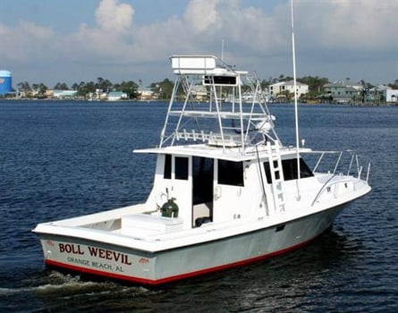 Boat photo for 8 Hr Bottom Fishing & Trolling