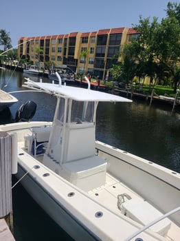 Boat photo for Chasing Mahi, Tuna, Sails, & More!