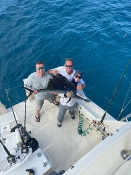 Boat photo for Sportfishing Key West