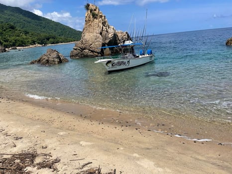Boat photo for Bay Fishing Puerto Vallarta