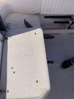 Boat photo for Florida Bottom Fishing Or Trolling