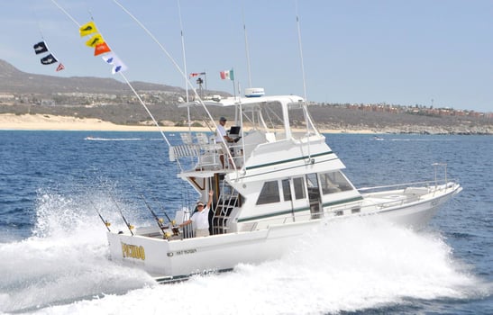 Boat photo for Cabo Trophy Fishing
