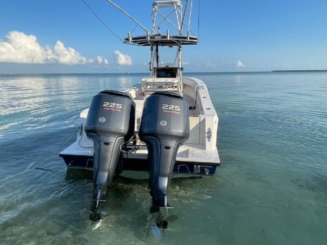 Boat photo for Halfday AM 31’ Contender: Deep Sea