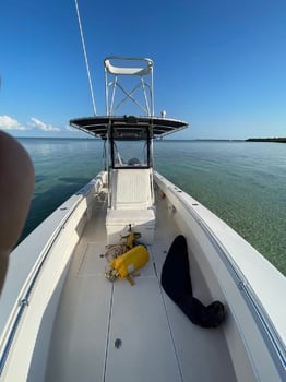 Boat photo for Halfday AM 31’ Contender: Deep Sea