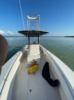Boat photo for 5 to 6 Hr Red Snapper 31’ Contender