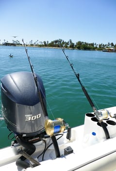 Boat photo for  Edge Water Center Console Trip