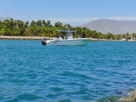 Boat photo for  Edge Water Center Console Trip