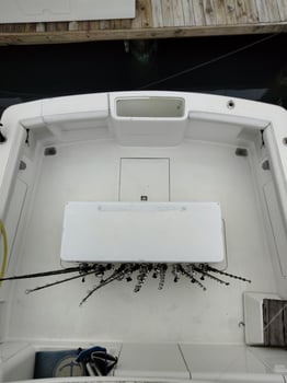 Boat photo for Orange Beach Seasonal Catch