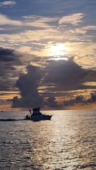 Boat photo for 3 Hour Cruise  42'