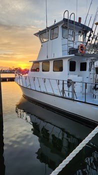 Boat photo for 3 Hour Cruise  42'