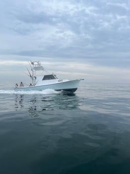 Boat photo for 3 Hour Cruise -34'