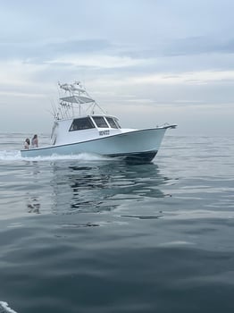 Boat photo for 3 Hour Cruise -34'