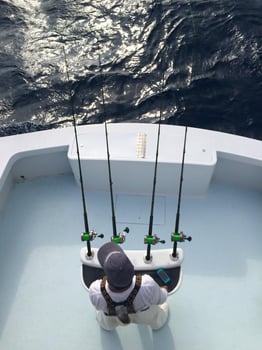 Boat photo for Deep Sea Trip