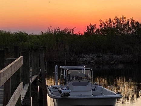 Boat photo for Catfish Hunter