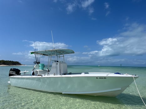 Boat photo for Tarpon Fishing (seasonally)