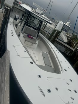 Boat photo for Bottom Fish & Deep Drop