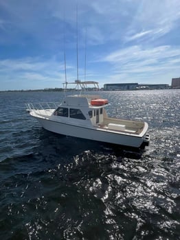 Boat photo for Panama City Trolling Excitment