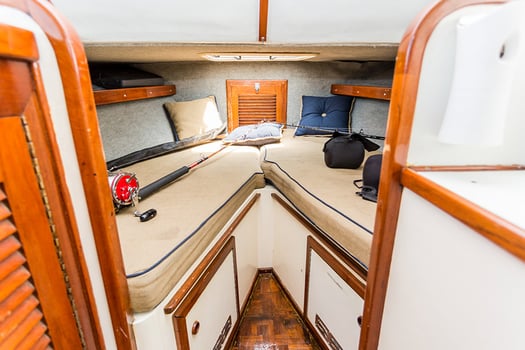 Boat photo for Full Day Inclusive